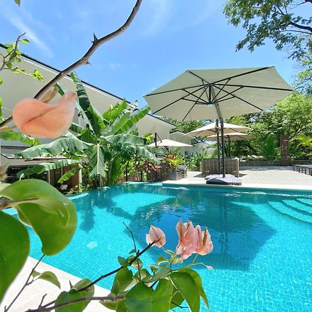 Natura Loft Garden Playa Santa Teresa  エクステリア 写真