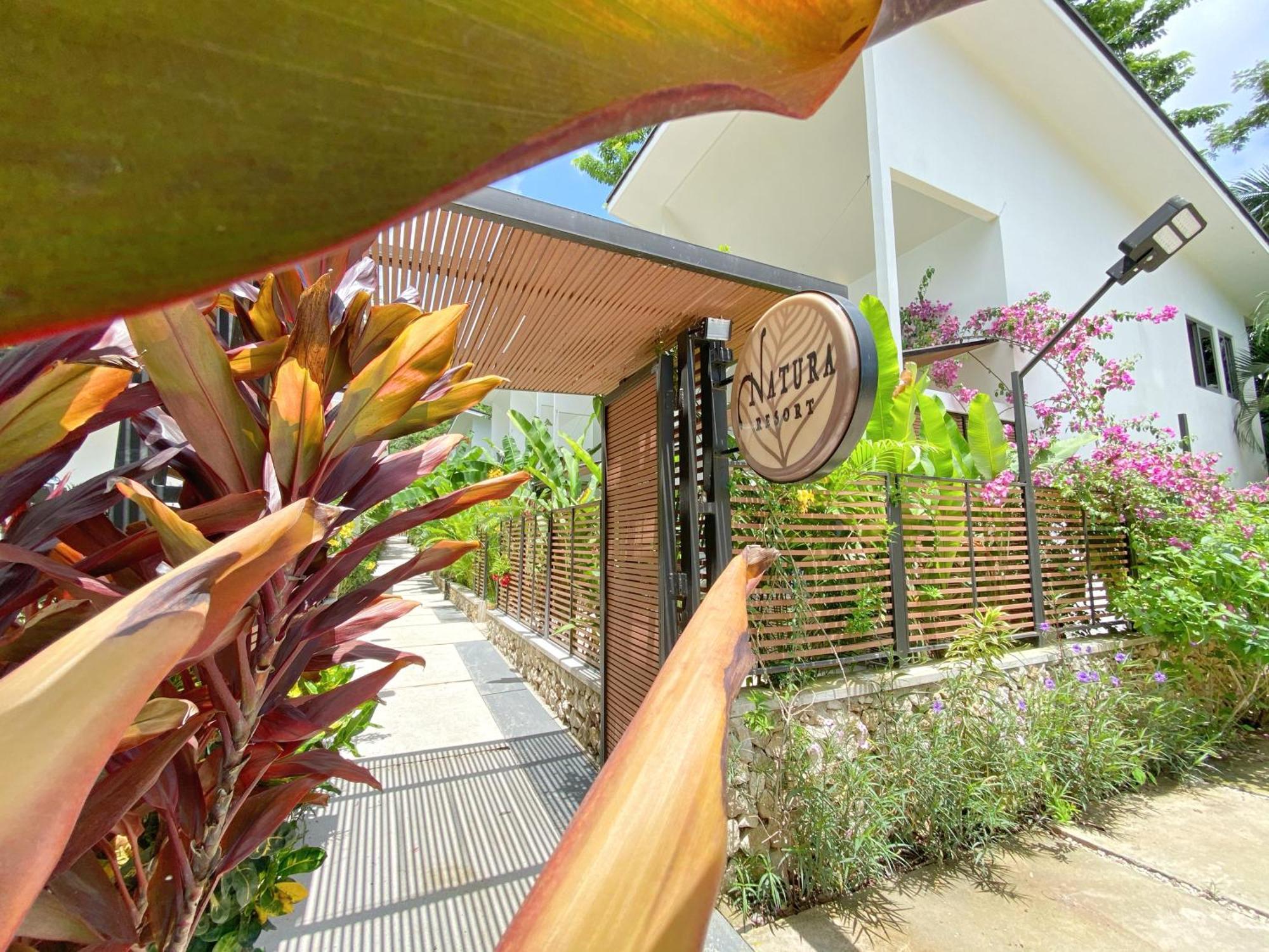 Natura Loft Garden Playa Santa Teresa  エクステリア 写真